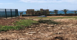 Land for Sale Berbara Jbeil Area 3825Sqm