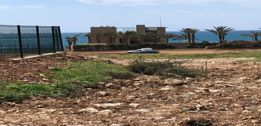 Land for Sale Berbara Jbeil Area 3825Sqm