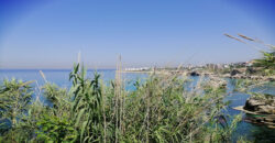 Land for Sale Aamchit Jbeil Area 1903Sqm
