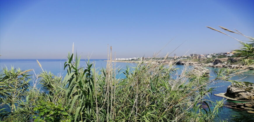 Land for Sale Aamchit Jbeil Area 1903Sqm