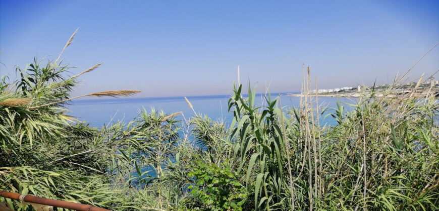 Land for Sale Aamchit Jbeil Area 1903Sqm