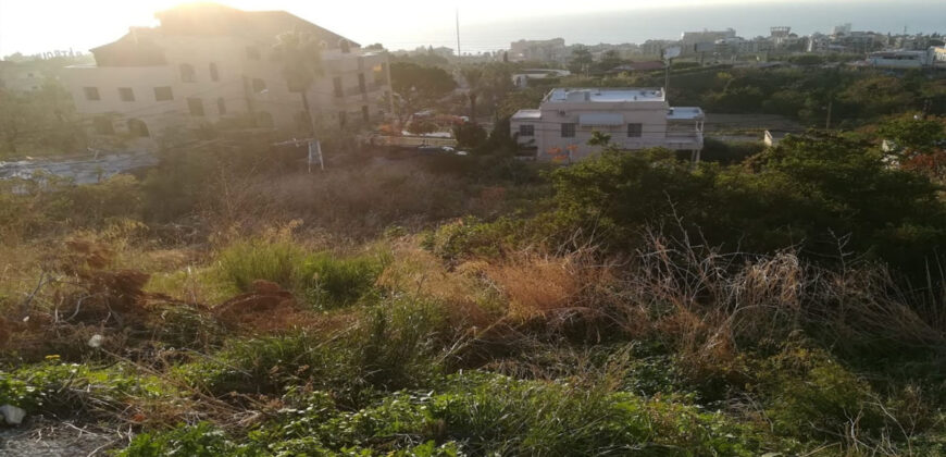 Land for Sale Batroun City Area 1179 Sqm
