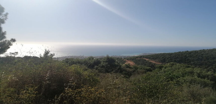 Land for Sale Ijdabra Batroun Area 2546Sqm