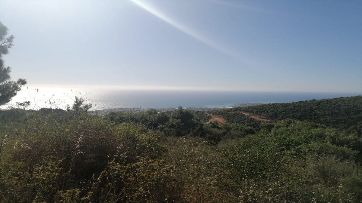 Land for Sale Ijdabra Batroun Area 2560Sqm