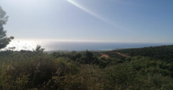 Land for Sale Ijdabra Batroun Area 2546Sqm