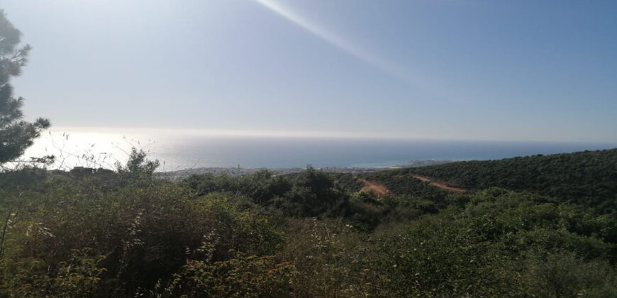 Land for Sale Ijdabra Batroun Area 2546Sqm