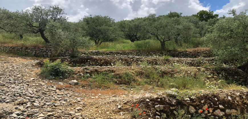 Land for Sale Ftahat Batroun Area 1764Sqm