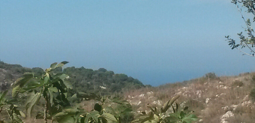 Land for Sale Chikhane Jbeil Area 1245Sqm