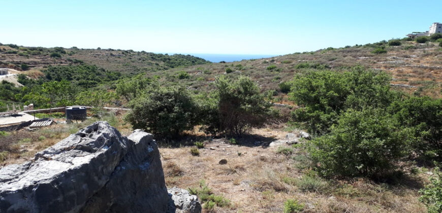 Land for Sale Chikhane Jbeil Area 1245Sqm