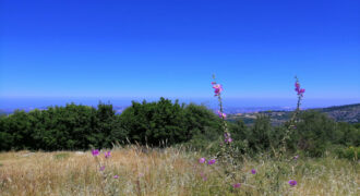 Land for Sale Chabtine Batroun Area 1955Sqm