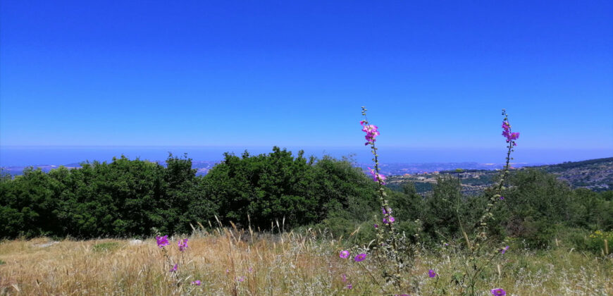 Land for Sale Chabtine Batroun Area 1955Sqm