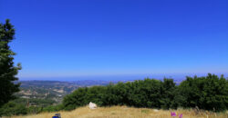 Land for Sale Chabtine Batroun Area 1955Sqm