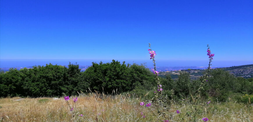 Land for Sale Chabtine Batroun Area 1955Sqm