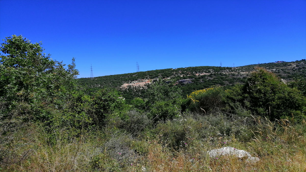 Land for sale Mrah El Haj Batroun Area 1530Sqm