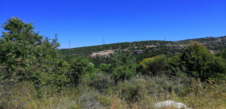 Land for sale Mrah El Haj Batroun Area 1530Sqm
