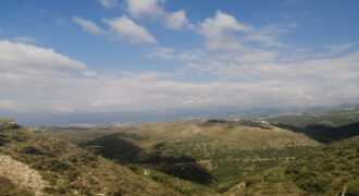 Land for Sale Bejdarfil Batroun Area 1313Sqm