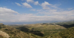 Land for Sale Bejdarfil Batroun Area 1313Sqm
