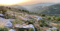Land for Sale Kharbeh Jbeil Area 62611Sqm