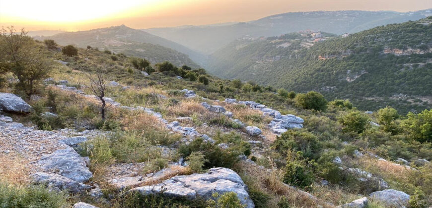 Land for Sale Kharbeh Jbeil Area 62611Sqm
