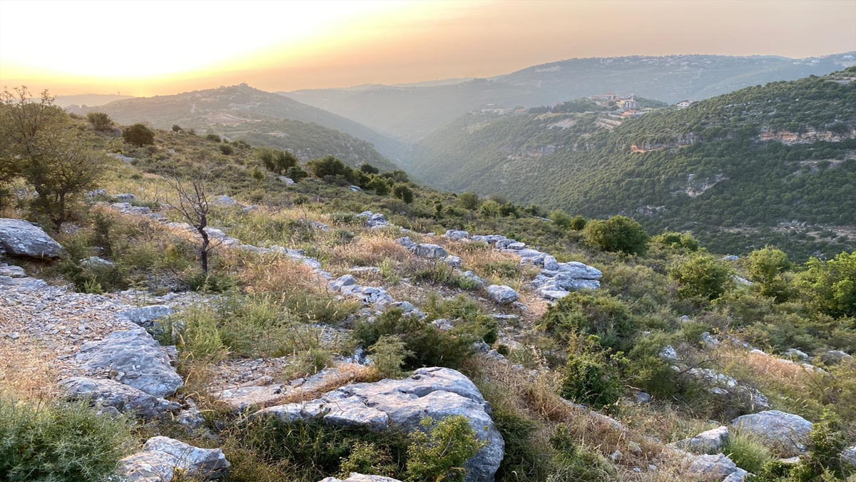 Land for Sale Kharbeh Jbeil Area 62611Sqm