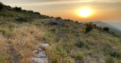 Land for Sale Kharbeh Jbeil Area 62611Sqm