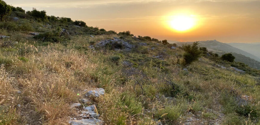 Land for Sale Kharbeh Jbeil Area 62611Sqm