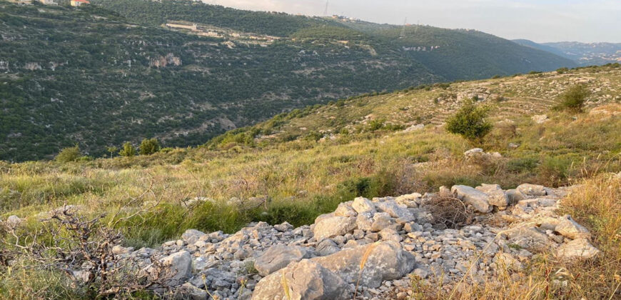 Land for Sale Kharbeh Jbeil Area 62611Sqm