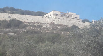 Land for Sale Abdelali Batroun Area 5875Sqm