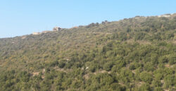 Land for Sale Abdelali Batroun Area 5875Sqm