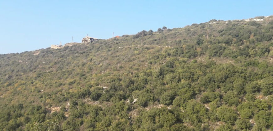 Land for Sale Abdelali Batroun Area 5875Sqm