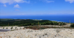 Land for Sale Chmout Jbeil Area 12100Sqm