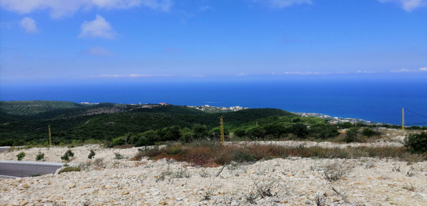 Land for Sale Chmout Jbeil Area 12100Sqm