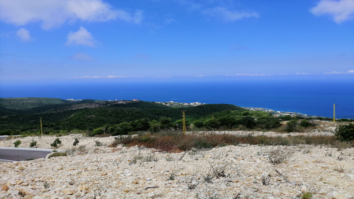 Land for Sale Chmout Jbeil Area 12100Sqm