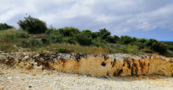 Land for Sale Chmout Jbeil Area 12100Sqm