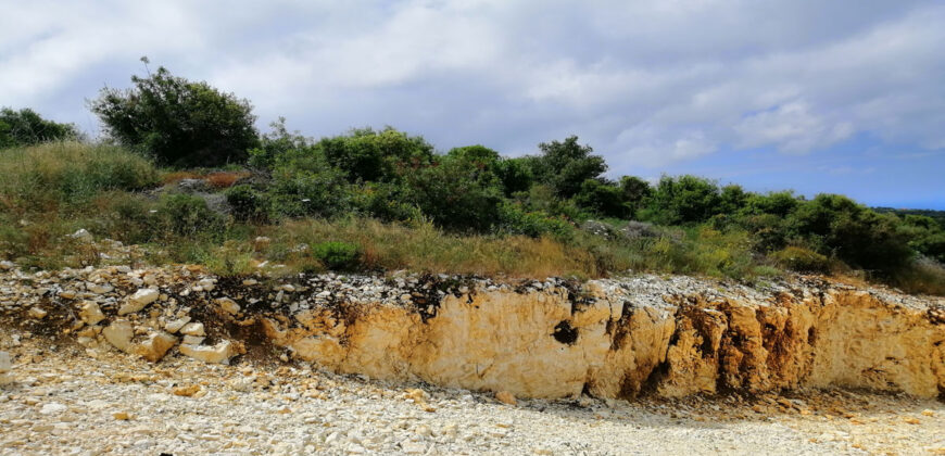 Land for Sale Chmout Jbeil Area 12100Sqm