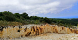 Land for Sale Chmout Jbeil Area 12100Sqm