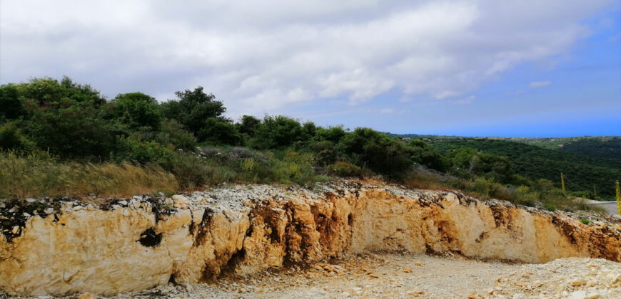 Land for Sale Chmout Jbeil Area 12100Sqm