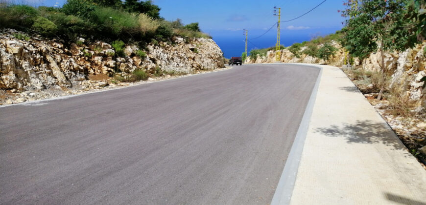Land for Sale Chmout Jbeil Area 12100Sqm