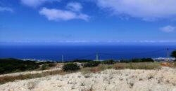 Land for Sale Chmout Jbeil Area 12100Sqm
