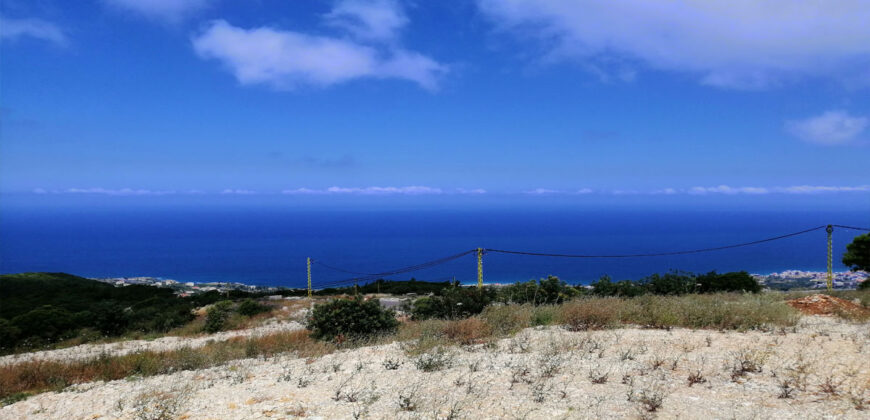 Land for Sale Chmout Jbeil Area 12100Sqm