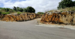 Land for Sale Chmout Jbeil Area 12100Sqm