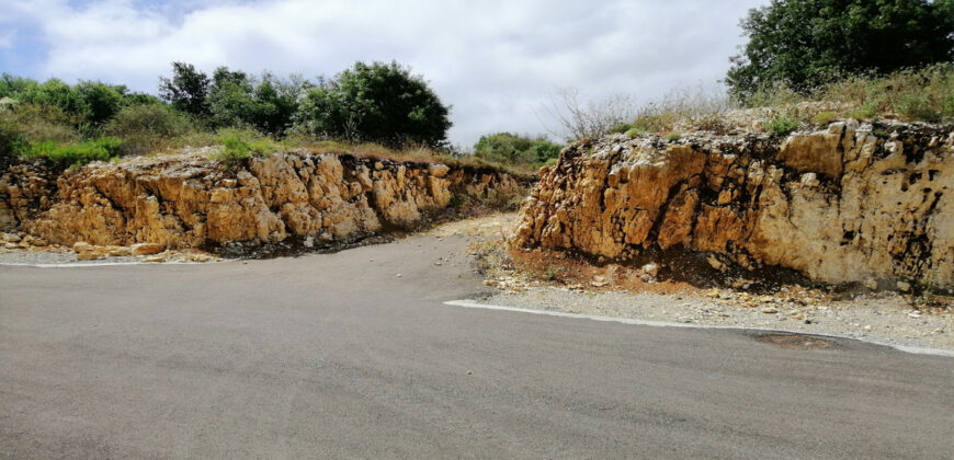 Land for Sale Chmout Jbeil Area 12100Sqm