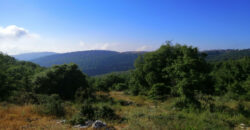 Land for Sale Aannaya – Kfar Baal Jbeil Area 2400Sqm
