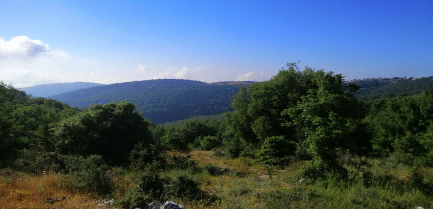 Land for Sale Aannaya – Kfar Baal Jbeil Area 2400Sqm