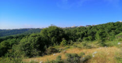 Land for Sale Aannaya – Kfar Baal Jbeil Area 2400Sqm