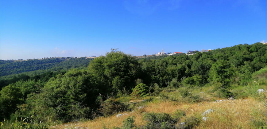 Land for Sale Aannaya – Kfar Baal Jbeil Area 2400Sqm