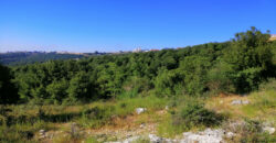 Land for Sale Aannaya – Kfar Baal Jbeil Area 2400Sqm