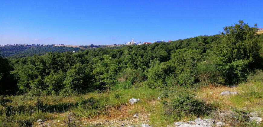 Land for Sale Aannaya – Kfar Baal Jbeil Area 2400Sqm