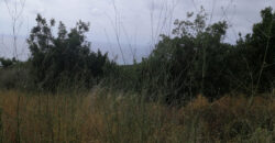 Land for sale Smar Jbeil Batroun Area 1416Sqm