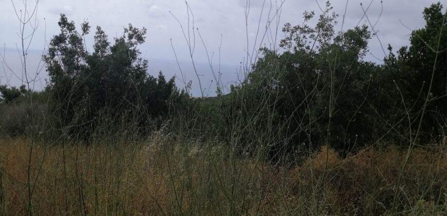 Land for sale Smar Jbeil Batroun Area 1416Sqm